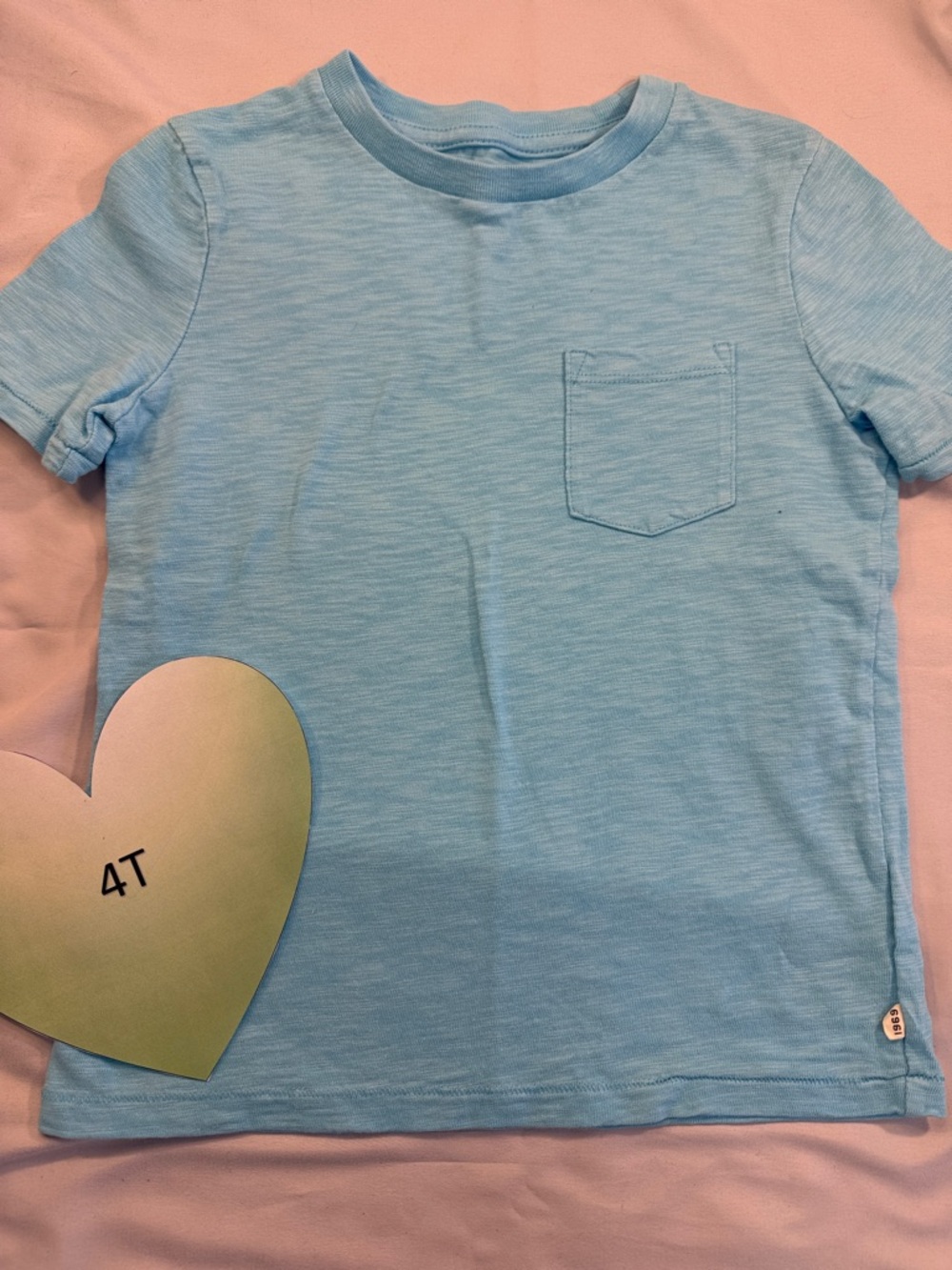 GAP - Kids Light Blue Short Sleeve Tee